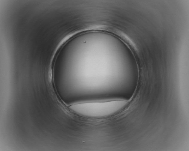 X0000110941324200906191223