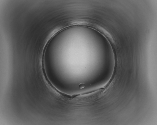 X0000110941330200906191223