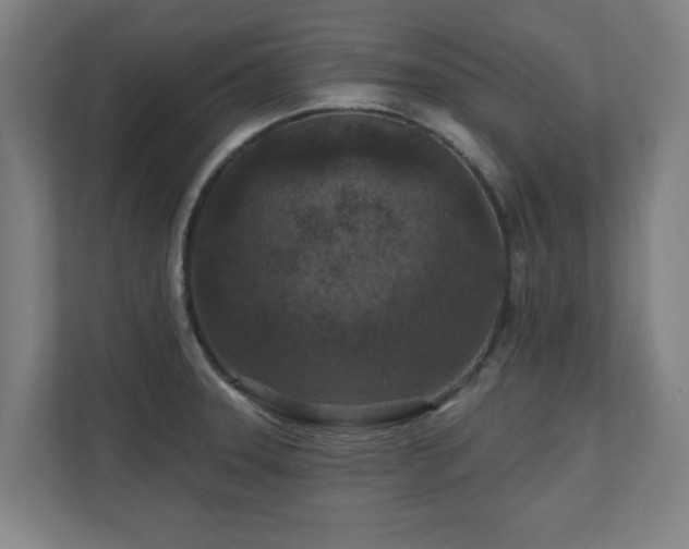 X0000110941331200906191223