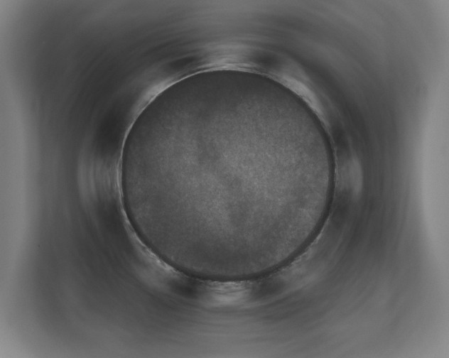 X0000110941338200906191223