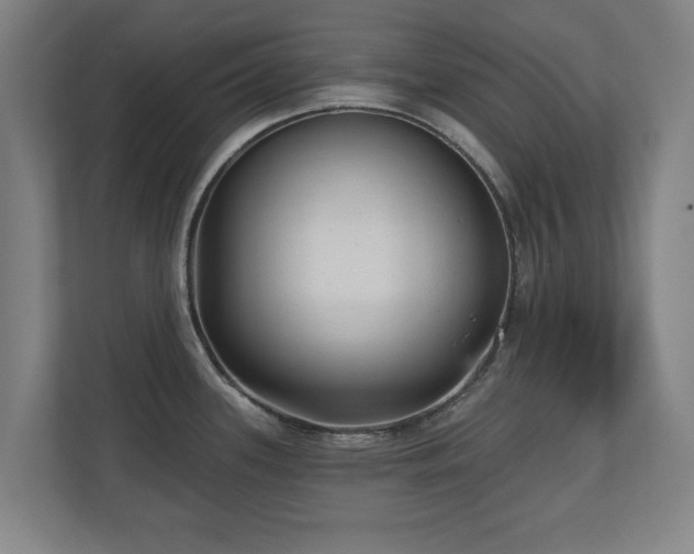 X0000110941339200906191223
