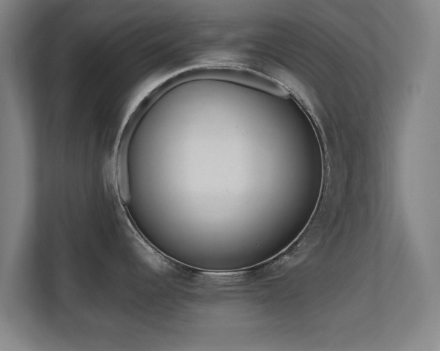 X0000110941344200906191223