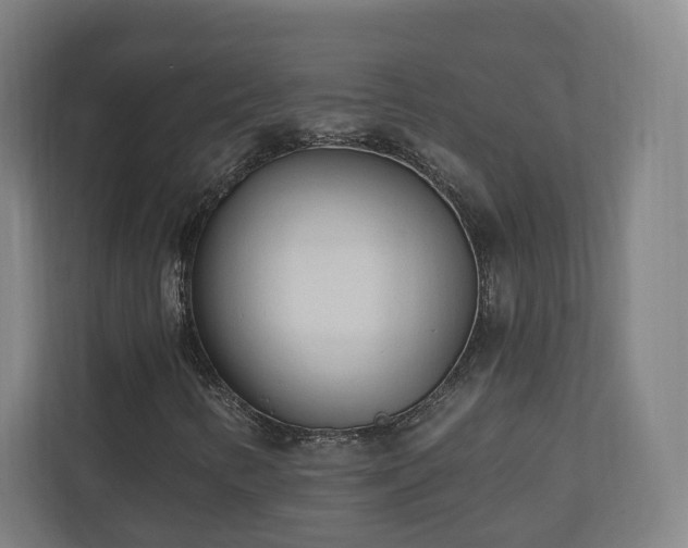 X0000110941346200906191222