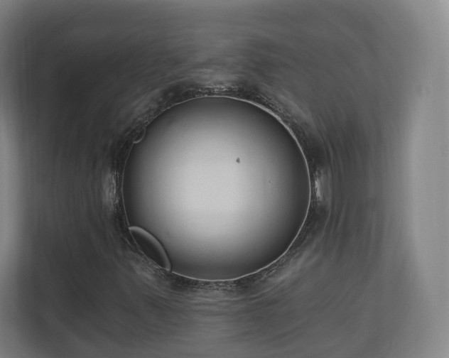 X0000110941347200906191222