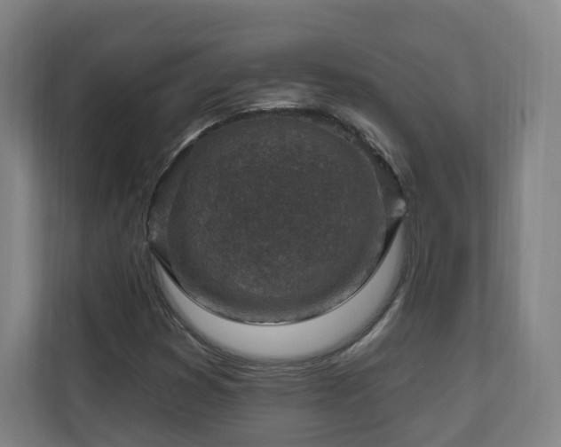 X0000110941353200906191222
