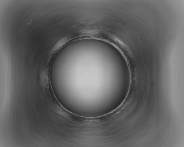 X0000110941354200906191222