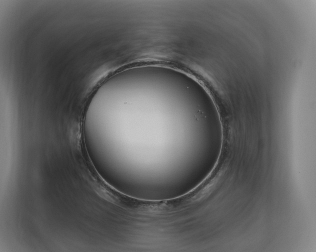 X0000110941355200906191222