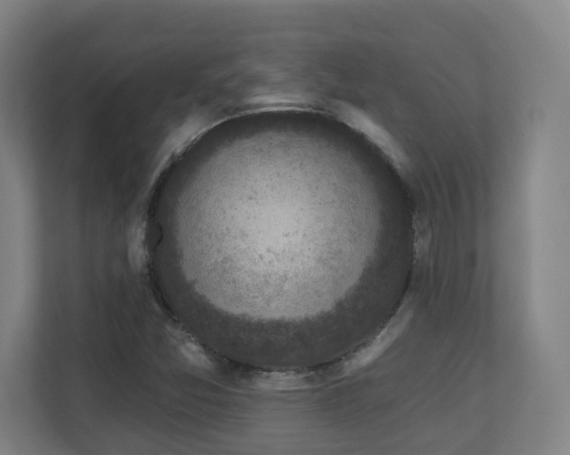 X0000110941357200906191222