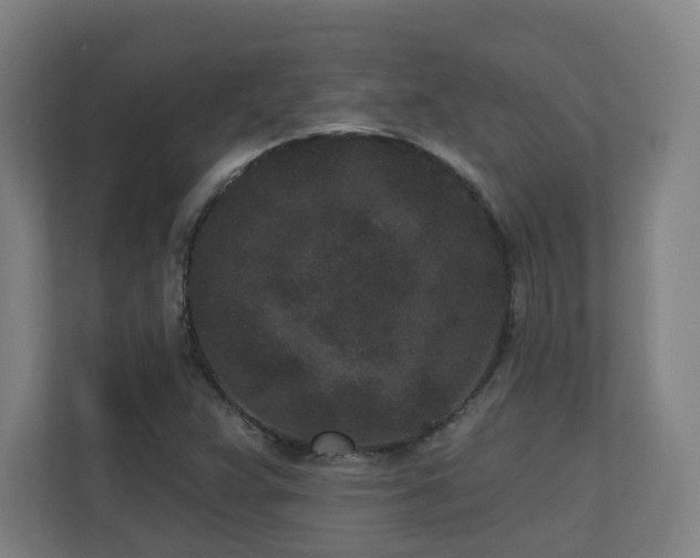 X0000110941359200906191222