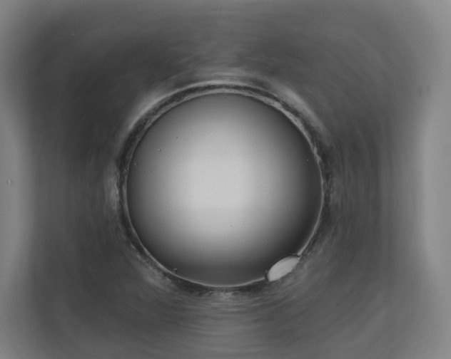 X0000110941360200906191222