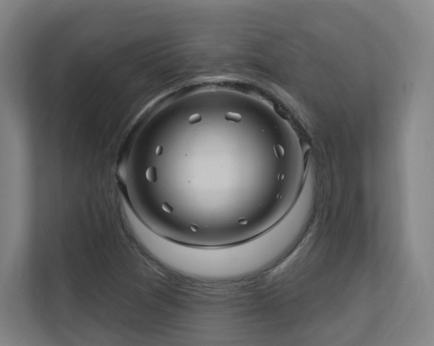 X0000110941361200906191222