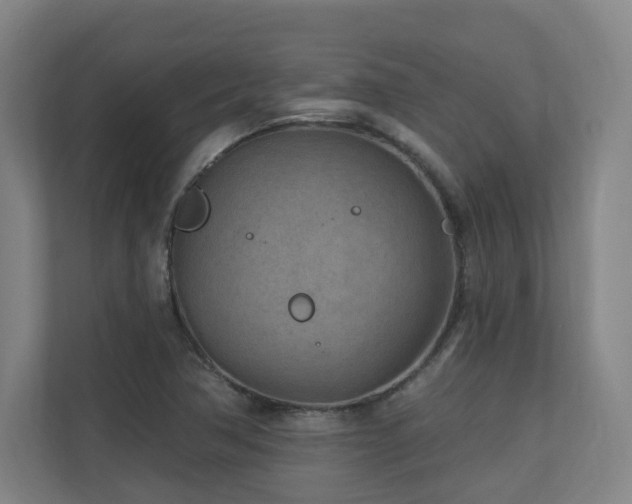 X0000110941362200906191222
