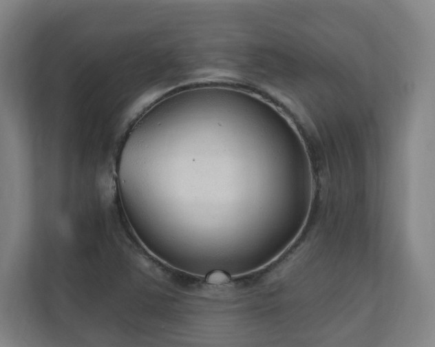 X0000110941363200906191222