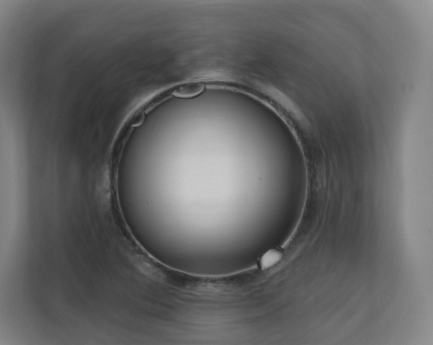 X0000110941364200906191222