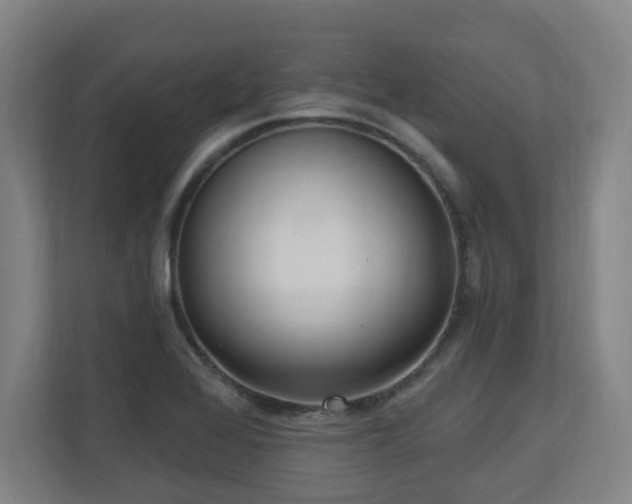 X0000110941368200906191222