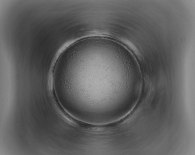 X0000110941371200906191222