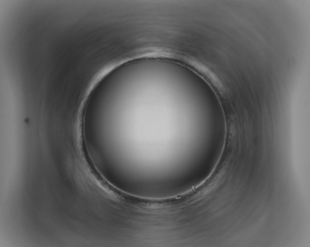 X0000110941375200906191222