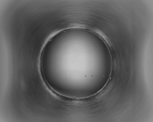 X0000110941379200906191222