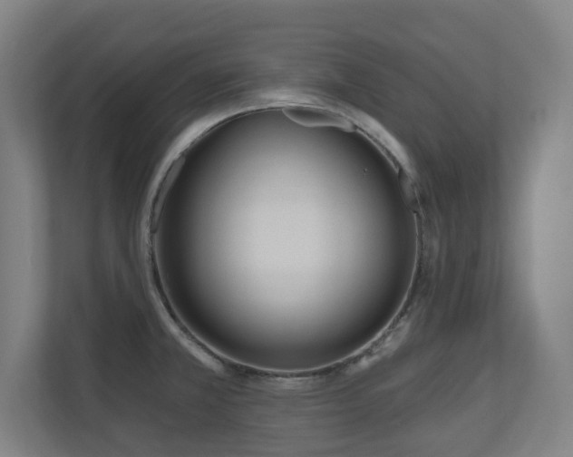 X0000110941381200906191222