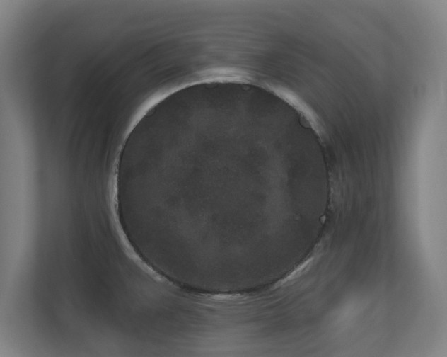 X0000110941383200906191222