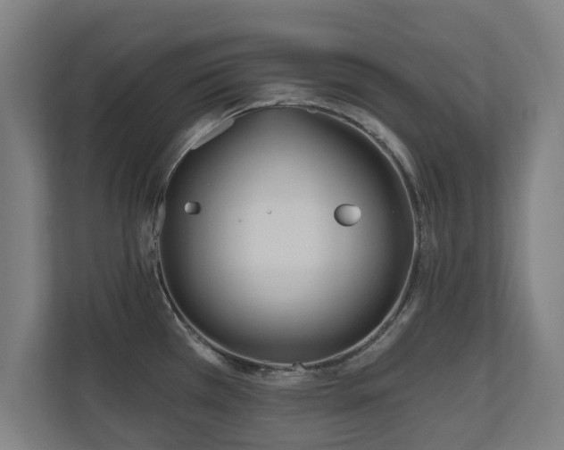 X0000110941385200906191222