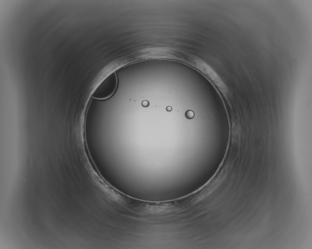 X0000110941386200906191222