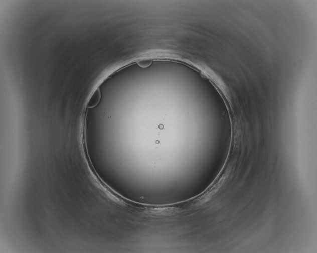 X0000110941390200906191222