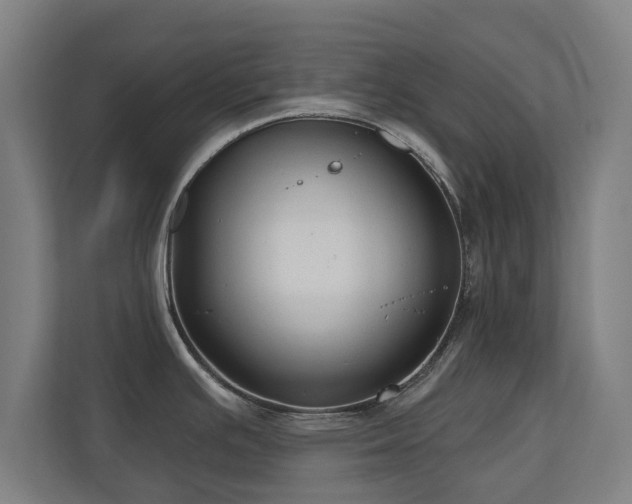 X0000110941391200906191222
