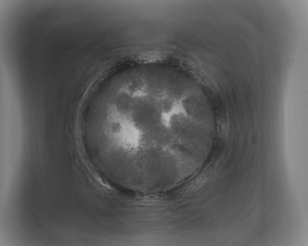X0000110941393200906191221