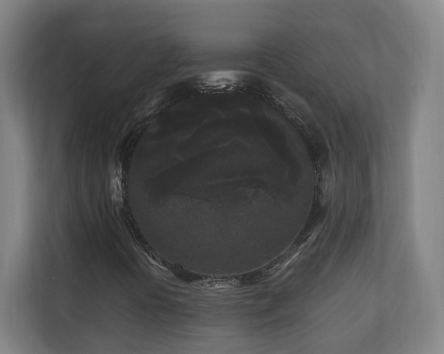 X0000110941394200906191221
