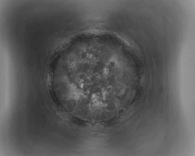 X0000110941397200906191221