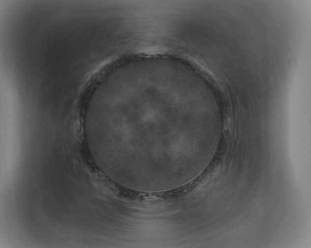 X0000110941398200906191221