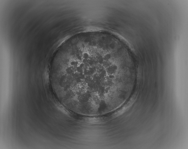 X0000110941401200906191221