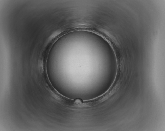 X0000110941402200906191221