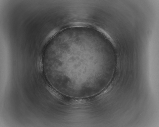 X0000110941403200906191221