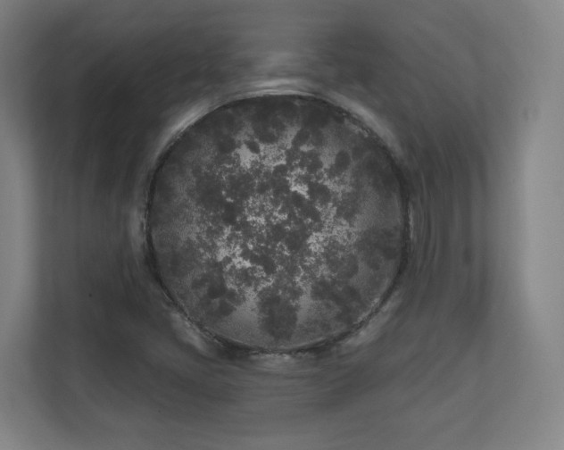 X0000110941405200906191221