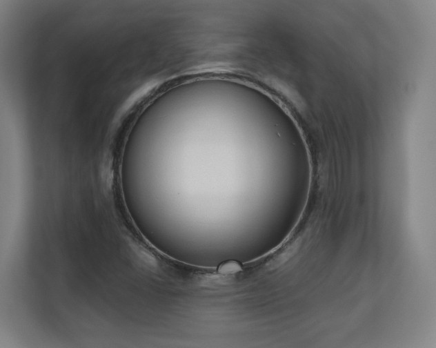 X0000110941406200906191221