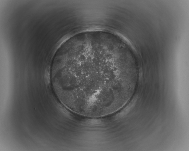 X0000110941409200906191221