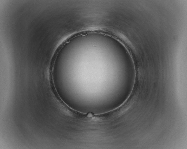 X0000110941412200906191221