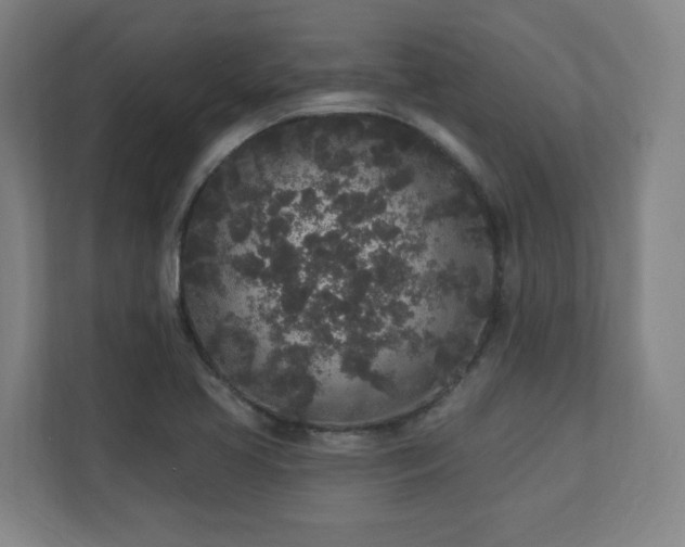 X0000110941413200906191221