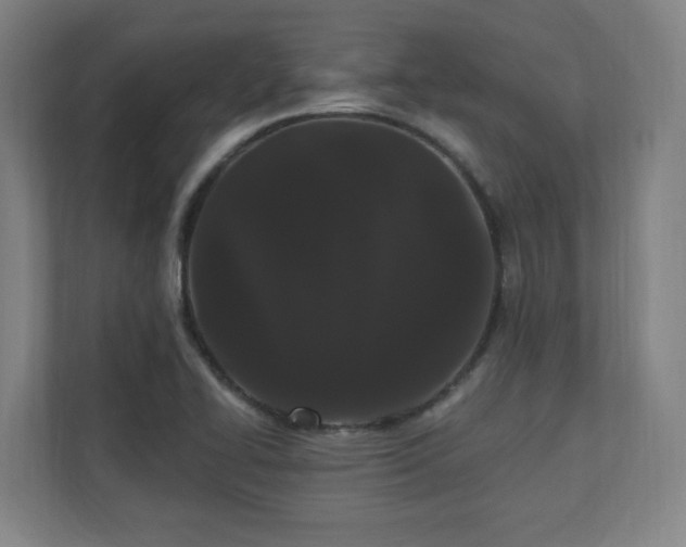 X0000110941414200906191221