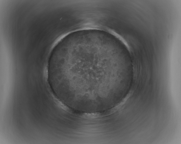X0000110941415200906191221
