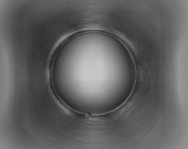 X0000110941416200906191221