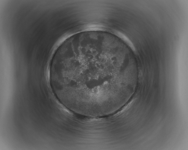 X0000110941419200906191221