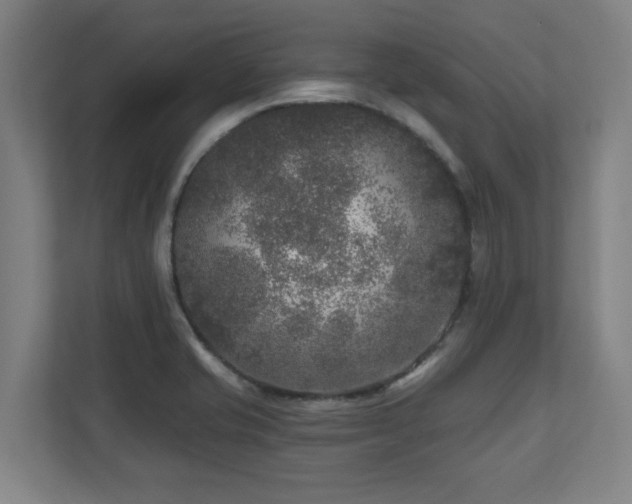 X0000110941421200906191221