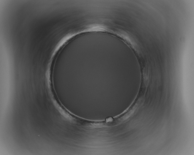 X0000110941422200906191221