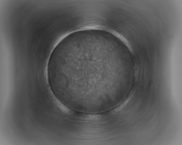 X0000110941423200906191221