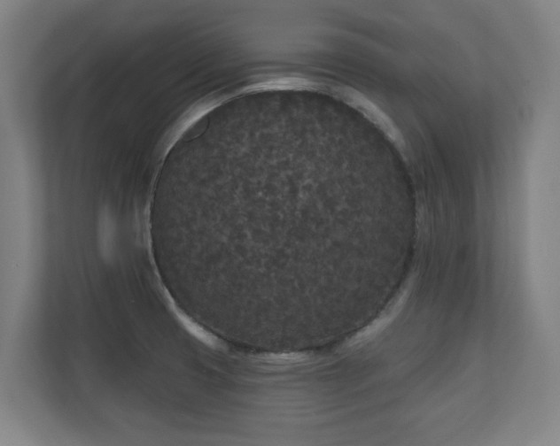 X0000110941425200906191221