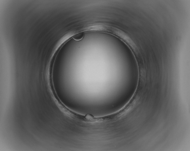 X0000110941426200906191221