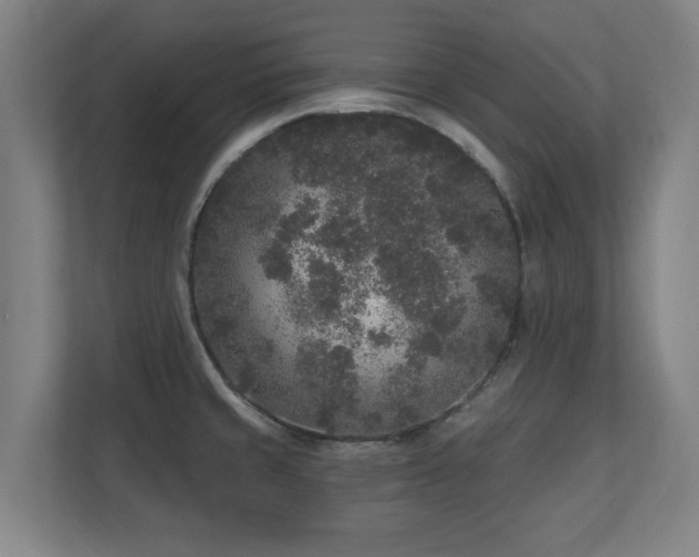 X0000110941429200906191222